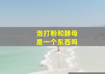 泡打粉和酵母是一个东西吗