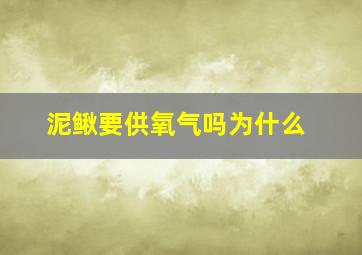 泥鳅要供氧气吗为什么