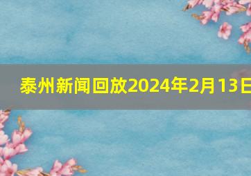 泰州新闻回放2024年2月13日