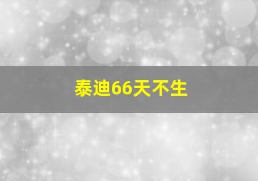 泰迪66天不生