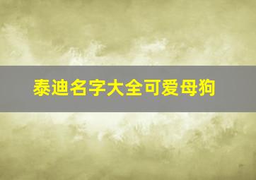 泰迪名字大全可爱母狗