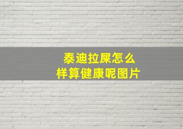 泰迪拉屎怎么样算健康呢图片