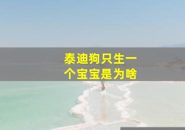 泰迪狗只生一个宝宝是为啥