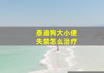 泰迪狗大小便失禁怎么治疗