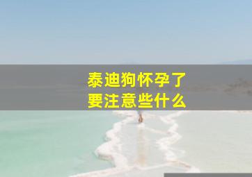 泰迪狗怀孕了要注意些什么