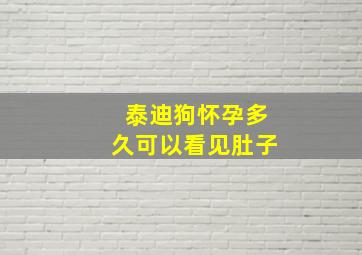 泰迪狗怀孕多久可以看见肚子