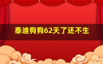 泰迪狗狗62天了还不生