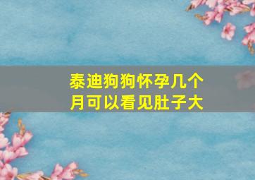 泰迪狗狗怀孕几个月可以看见肚子大