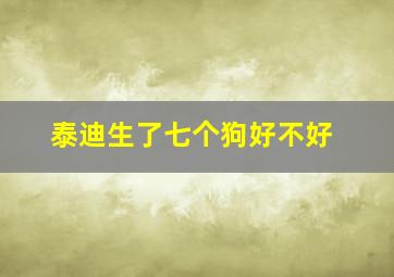 泰迪生了七个狗好不好