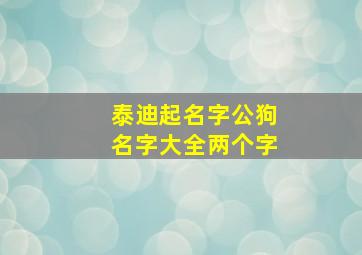 泰迪起名字公狗名字大全两个字