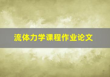 流体力学课程作业论文