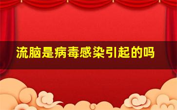 流脑是病毒感染引起的吗