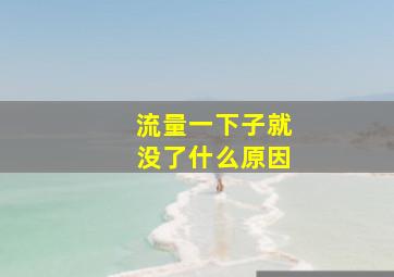 流量一下子就没了什么原因