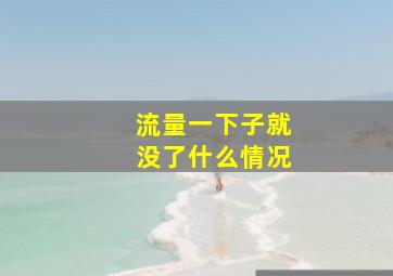 流量一下子就没了什么情况