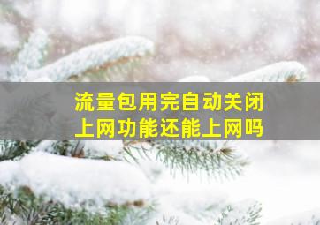 流量包用完自动关闭上网功能还能上网吗