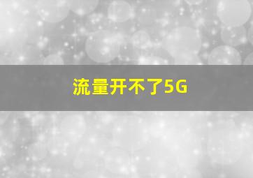 流量开不了5G