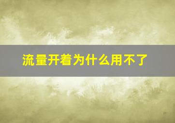 流量开着为什么用不了