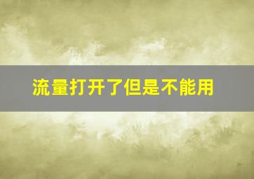 流量打开了但是不能用