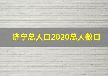 济宁总人口2020总人数口