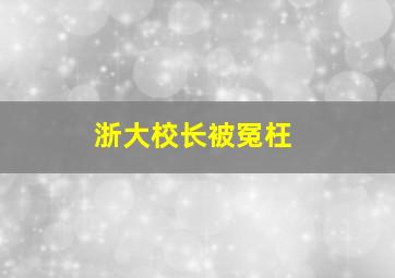 浙大校长被冤枉