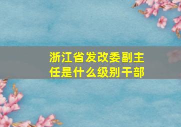 浙江省发改委副主任是什么级别干部