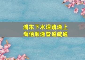 浦东下水道疏通上海佰顺通管道疏通