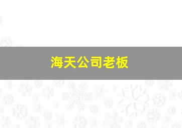 海天公司老板