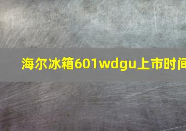 海尔冰箱601wdgu上市时间