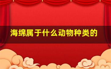 海绵属于什么动物种类的