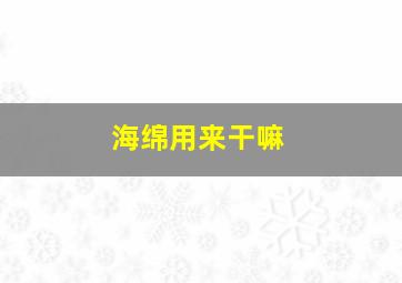 海绵用来干嘛