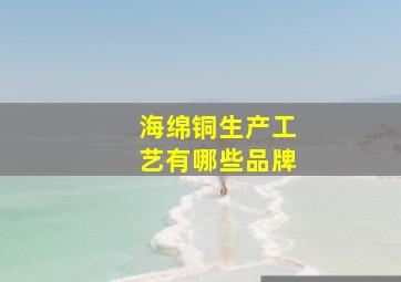 海绵铜生产工艺有哪些品牌