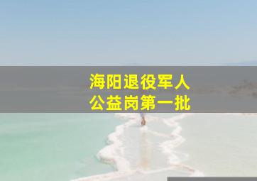 海阳退役军人公益岗第一批