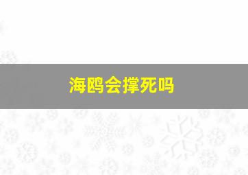 海鸥会撑死吗