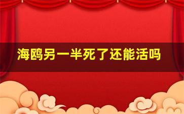 海鸥另一半死了还能活吗