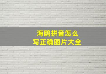 海鸥拼音怎么写正确图片大全