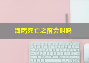 海鸥死亡之前会叫吗