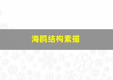 海鸥结构素描