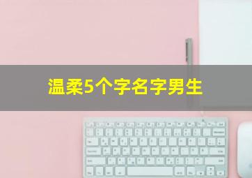 温柔5个字名字男生