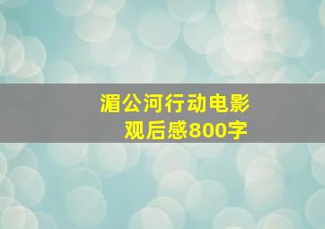 湄公河行动电影观后感800字