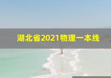 湖北省2021物理一本线