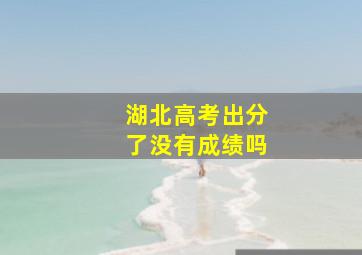 湖北高考出分了没有成绩吗