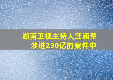 湖南卫视主持人汪涵牵涉进230亿的案件中