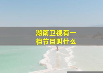 湖南卫视有一档节目叫什么