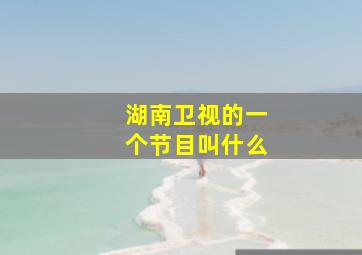 湖南卫视的一个节目叫什么