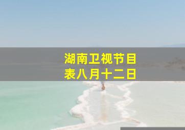 湖南卫视节目表八月十二日