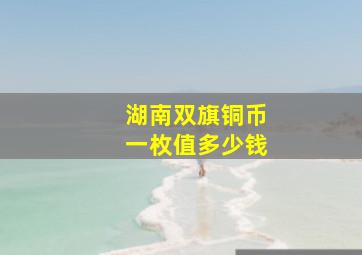 湖南双旗铜币一枚值多少钱