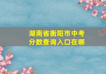 湖南省衡阳市中考分数查询入口在哪