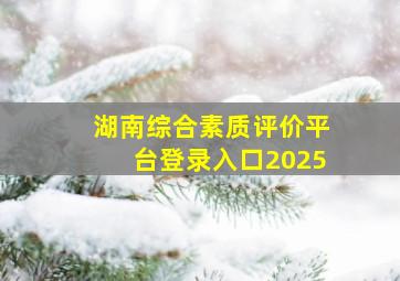 湖南综合素质评价平台登录入口2025