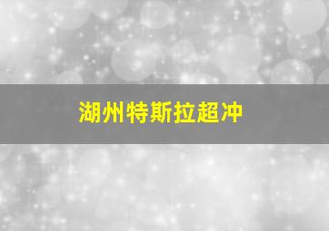 湖州特斯拉超冲