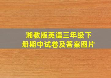 湘教版英语三年级下册期中试卷及答案图片